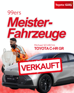 Michael SCHIECHL_Verkauft